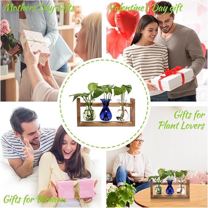 Plant Propagation Station Plant Terrarium Unique Birthday Gifts for Women | Plant Lovers Home Office Decor Planter with Wooden Stand - 3 Bulb Glass Vase