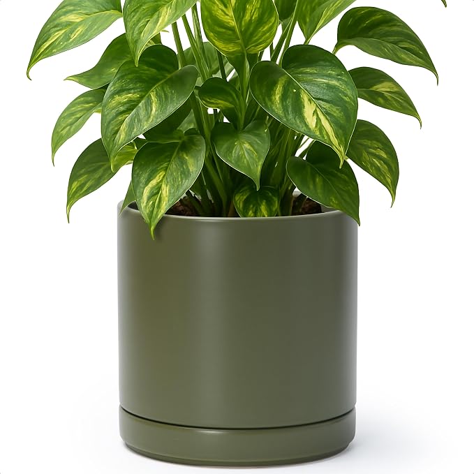 D'vine Dev 8.2 Inch Ceramic Planter Pot with Drainage Hole and Saucer, Indoor Cylinder Round Planter Pot, Olive, 94-O-D-J