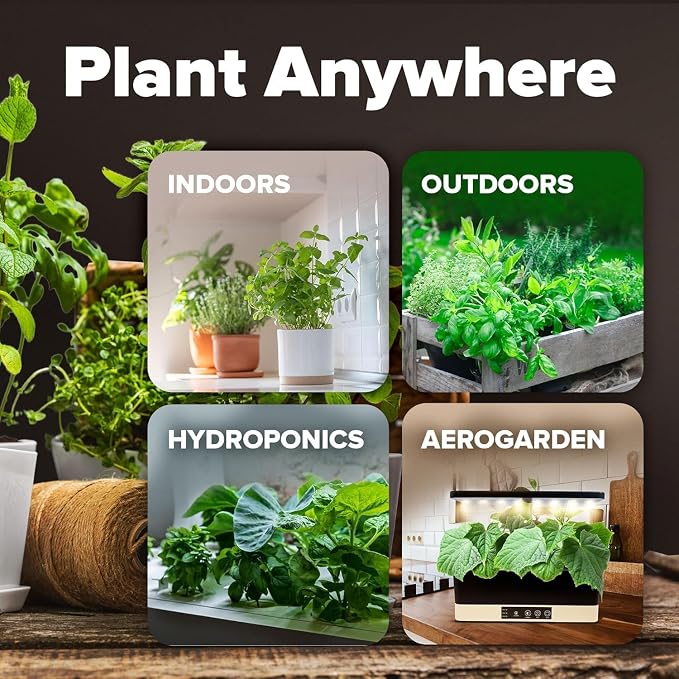 HOME GROWN 10 Variety Seed Vault 5,700+ USA Grown Heirloom Non-GMO Vegetable Seeds for Planting, High Germination, Garden Starter Kit, Emergency Food Supply, Indoor Outdoor