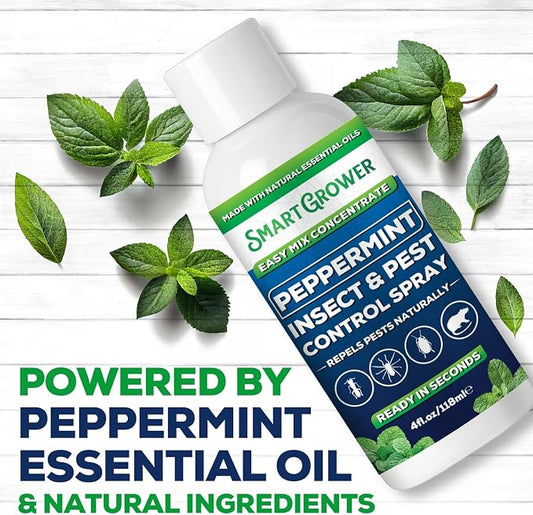 Peppermint Insect & Pest Control Best Value Concentrate - Repels Insects & Pests for Home, Indoor, Outdoor, Garden - Maximum Strength Concentrate (Makes Half Gallon RTU) 4 oz