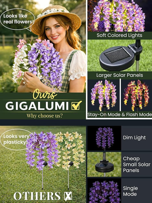 GIGALUMI Solar Lights Outdoor for Garden Decor, 6 Pack Solar Flower Lights Waterproof, 2 Lighting Modes Wisteria for Pathway,Yard, Patio Decoration, Gardening Gifts for Women (Multi-Colored)