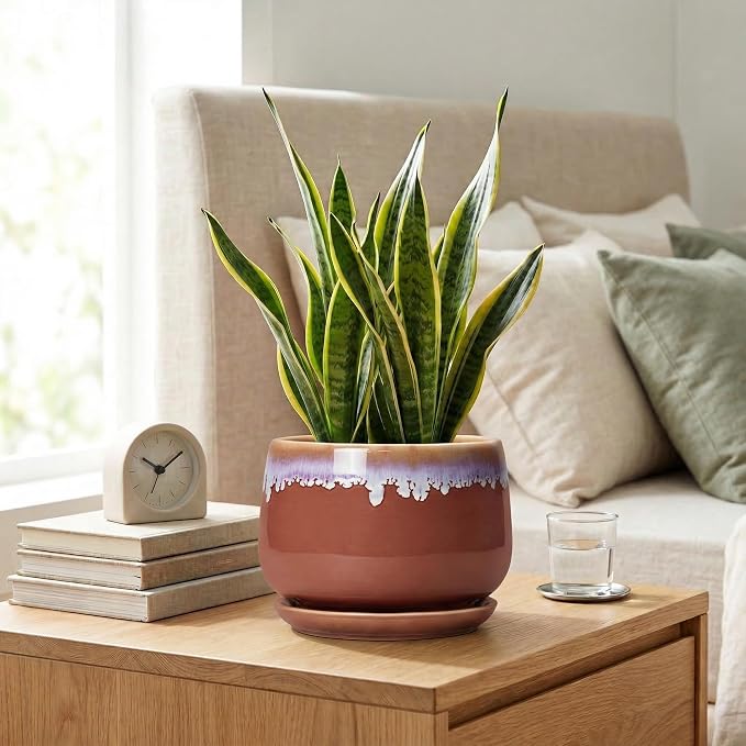Ceramic Pots for Plants 7 Inch - Ceramic Planters for Indoor Plants, Indoor Plant Pots with Drainage and Saucer, Decorative Round Flower Pot, Garden House Room Decor, Plant Gifts, Red-Purple