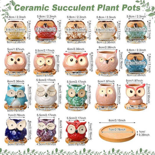 Cindeer 18 Pcs 2.5 Inch Owl Ceramic Succulent Planter Pots Mini Small Ceramic Pots with Drainage Hole and Bamboo Tray for Succulents Glaze Cactus for Home Garden Office Desk Decoration Gift Ideas