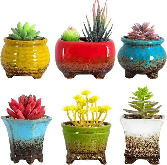ARTKETTY Succulent Pots - Small Succulent Plant Pots with Drainage Set of 6, Ceramic Cactus Planter Pots for Indoor Unique Flower Planter Container for Home Office Decor