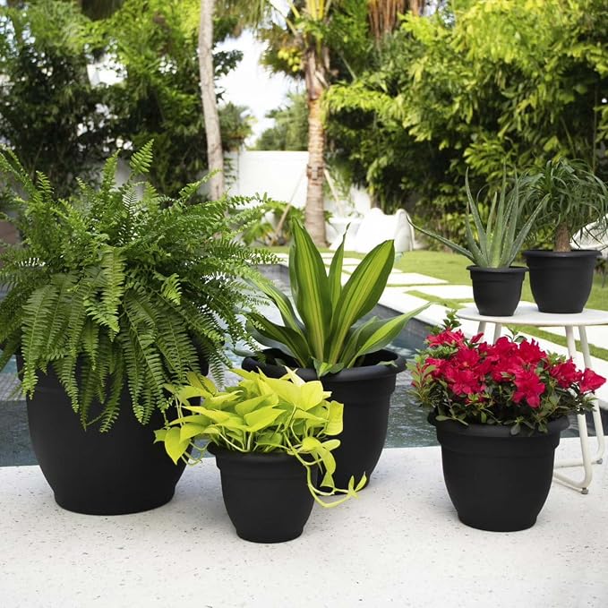 Bloem Ariana 8" Plastic Self-Watering Planter, Black, 4-Pack | Self-watering disk at the bottom of each pot that acts as a water wick and reservoir for optimal plant health