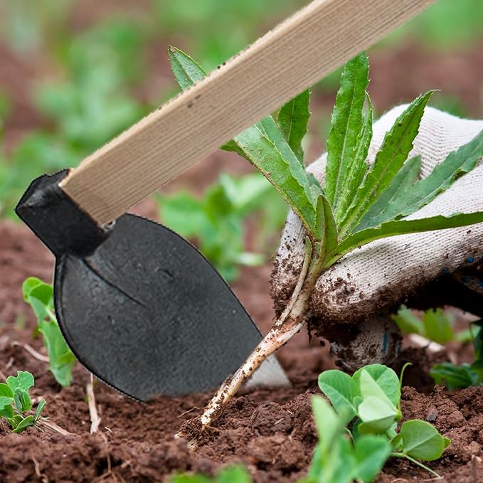 Hoe Garden Tool - 41” Heart-Shaped Steel Garden Hoe with European Ash Wood Handle - Heavy Duty Multipurpose Gardening Tools for Weeding, Digging, and Loosening Soil by Kings County Tools