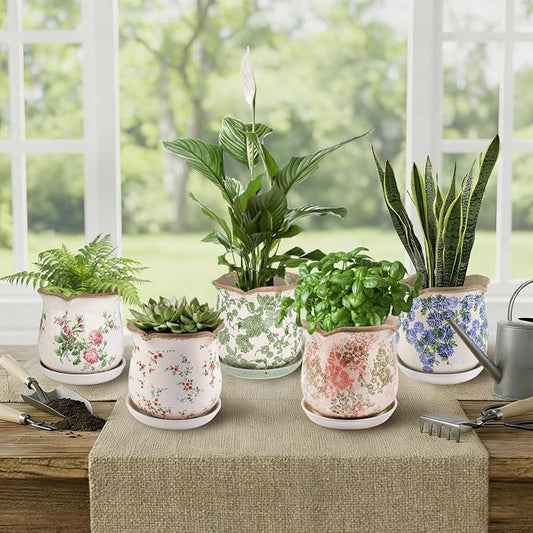 Ceramic-Planters-for-Indoor-Plants with Saucer, 6 inch Vintage Ice Crackle Glaze Plant Pots with Drainage Holes, Decorative Flower Pots for Outdoor Garden Home Decor, Tuscan Pot for Plant