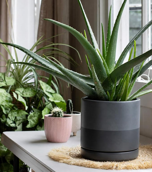 D'vine Dev 8 Inch Ceramic Planter Pot, Slate, 94-O-D-5 | Modern Cylinder Design, Drainage Hole & Saucer Included, Stable Structure, Elegant Home Accent