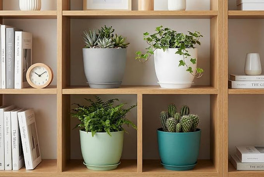 8 Inch Plant Pots Set of 4, Plastic Planters with Drainage Holes and Tray, Flower Pots for Indoor Outdoor Plants and Flowers (Multicolor)