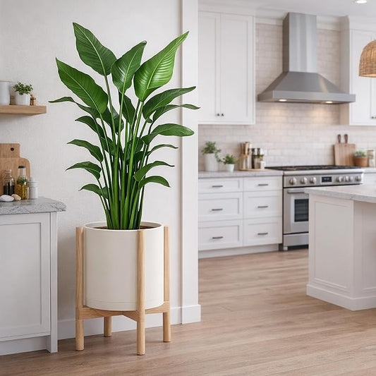D'vine Dev Plastic Pot with Natural Wood Stand, Oatmeal, 12 in, 55-C-P-4 | Mid-Century Inspired Design, Elevated Plant Display, Clean Lines, Sturdy Support, Modern Space-Saving Style