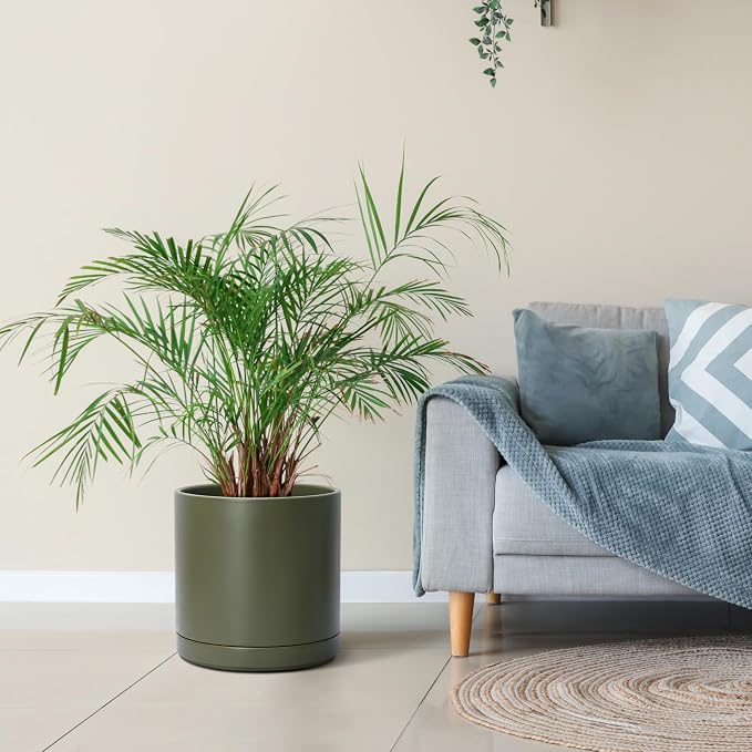 D'vine Dev 12 Inch Ceramic Planter Pot, Olive, 94-O-F-J | Modern Cylinder Design, Drainage Hole & Saucer Included, Stable Structure, Elegant Home Accent