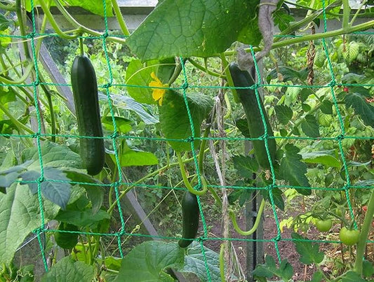 Trellis Netting for Climbing Plants - Heavy Duty Garden Trellis Netting for Cucumber, Vine, Fruits & Vegetables Tomato Plants Trellis Net, Climbing Vining Plants (1-Pack 16.4' x 6.6'Ft)