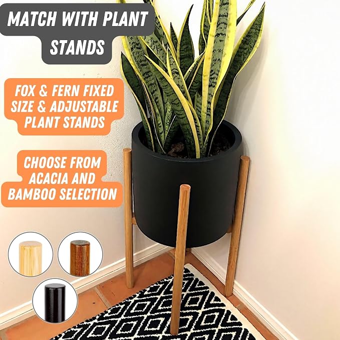 Fox & Fern Large Indoor Planter, Modern Large Plant Pot for Indoor or Outdoor, UV and Frost Resistant - 10 Inch, Matte Black Flower Pot with Drainage Plug, Lightweight
