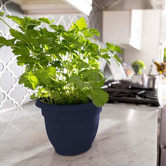 Bloem Ariana 6" Plastic Self-Watering Planter, Navy, 4-Pack | Self-watering disk at the bottom of each pot that acts as a water wick and reservoir for optimal plant health