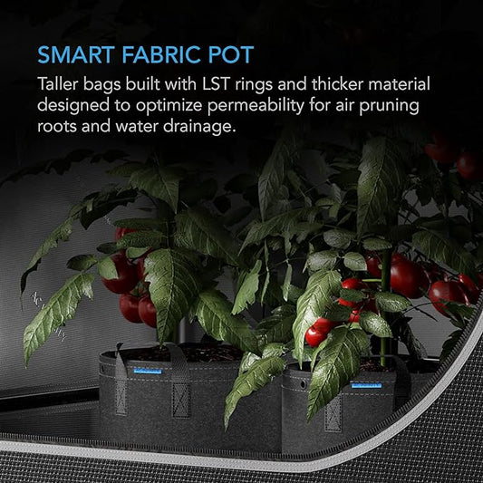AC Infinity Heavy Duty Fabric Pots, 3 Gallon Aeration Reusable Grow Bags 5-Pack with 500G Thick Nonwoven Fabric and Multi-Purpose Rings, for Low Stress Plant Training Fruits, Vegetables, and Flowers