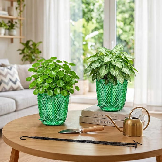 QCQHDU 5.7 Inch 2 Pack Small Hanging Planters for Indoor Outdoor Plants,Self Watering Flower Pots Hanging Basket Plant Hanger with Drainage Holes and 3 Hooks for Window Porch Garden Balcony, (Green)