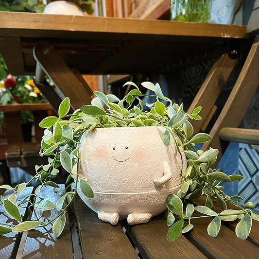 NINIPAPA Self Watering Plant Pot 4 Inch Cute Smile Face Planter Pot for Indoor Outdoor Plants with Drainage Hole Unique Flower Pots for Succulent/Herbs/Violets