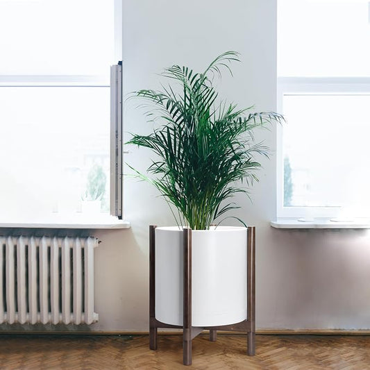 D'vine Dev Plastic Pot with Walnut Wood Stand, White, 16 in, 55-C-X-1 | Mid-Century Inspired Design, Elevated Plant Display, Clean Lines, Sturdy Support, Modern Space-Saving Style