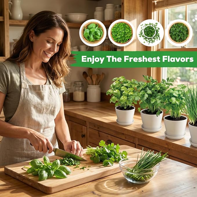 Indoor Herb Garden Starter Kit - Mothers Day Gifts - 4 Non GMO, Heirloom Culinary Herb Seeds, Unique Gardening Gift for Women, Mom, Her, Birthday, Housewarming, Plant Lovers