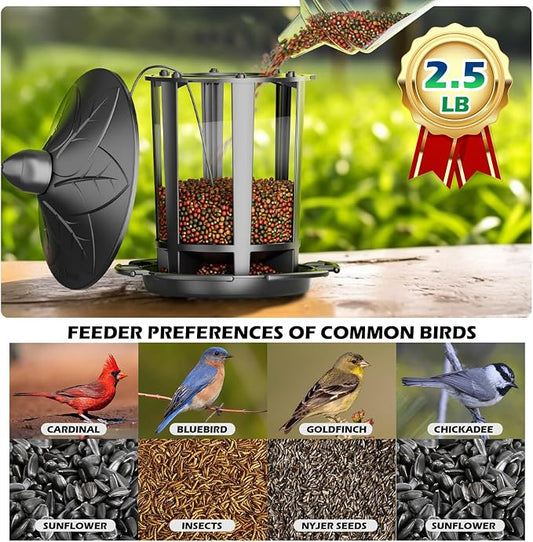 Birdream 2 Pack Bird Feeders for Outdoor Hanging, Assembly Required, 1-Min Easy Setup, Charming Castle Design, Attracting Cardinals Chickadees Goldfinches & Sparrows - Black