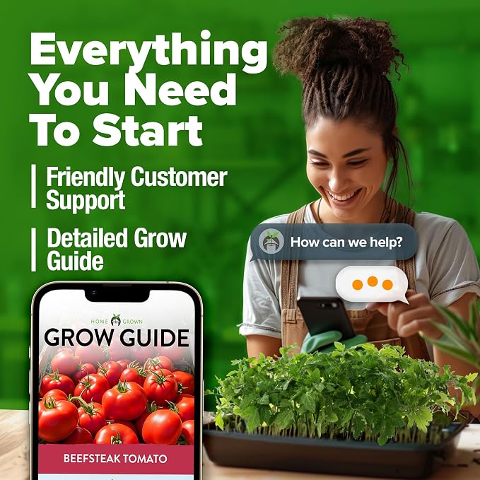 HOME GROWN Beefsteak Tomato Seeds 300+ Heirloom Non-GMO Seeds for Planting, High Germination, Indeterminate, Large Meaty Slicing Tomato, High Yield Summer Vegetable Garden (Solanum lycopersicum)