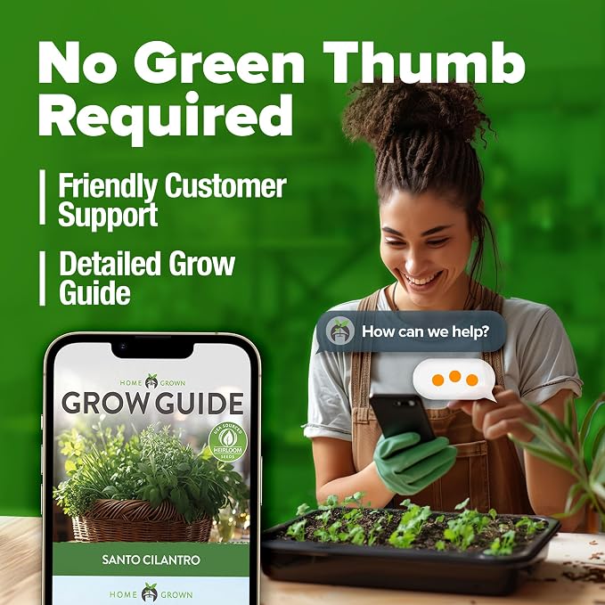 HOME GROWN Non GMO 500+ Cilantro Seeds (Fast Growing) Heirloom Coriander Seeds for Planting Indoors & Outdoors Santo Cilantro Herb for Kitchen Garden, High Germination