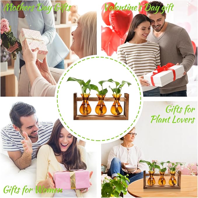 Plant Propagation Station Plant Terrarium Unique Birthday Gifts for Women | Plant Lovers Home Office Decor Planter with Wooden Stand - 3 Bulb Glass Vase