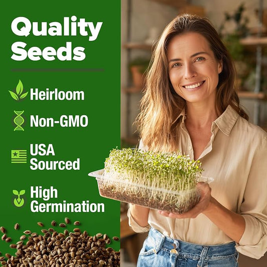 HOME GROWN Alfalfa Sprout Seeds 8 oz Bulk Heirloom Non-GMO, USA Sourced, High Germination, Fast Growing Microgreens, Nutrient Dense Sprouting Seeds for Sandwiches & Salads, Indoor Garden