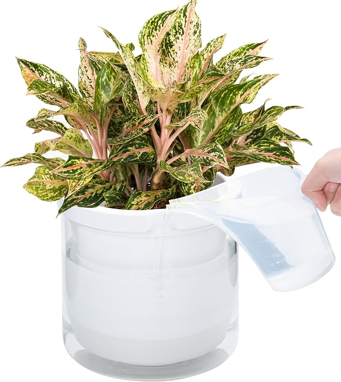 D'vine Dev 8 Inch Design Self Watering Planter for Indoor Plants, White Terracotta Pots with Cylinder Glass Cup, 37-X-C-2