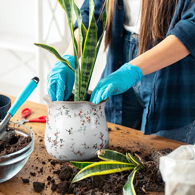 Newtay 6 Inch Ceramic Plants Pots Vintage Ceramic Flower Planters Crackle Glaze Finish Flower Pots Decorative Floral Vintage Planters for Living Room Garden Home Decor Gifts(Cute)