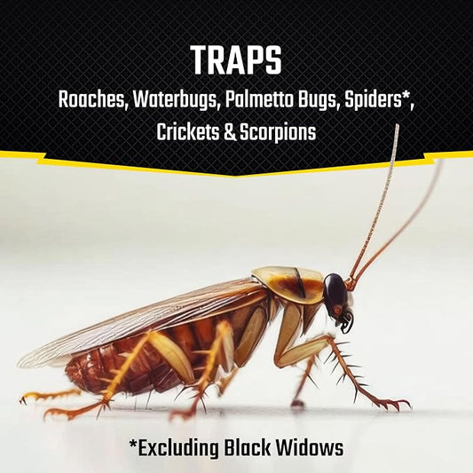 Black Flag Roach Motel Traps, 2-Count, 1-Pack