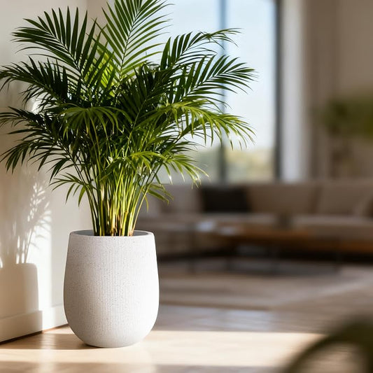 Worth Garden White Large Round Planter, 9" Dia x 13" H Lightweight Magnesium Oxide Cement Plant Pot with a Striped Textured Finish, Raised Pattern Concrete Look, Drainage Hole, Indoor & Outdoor Use