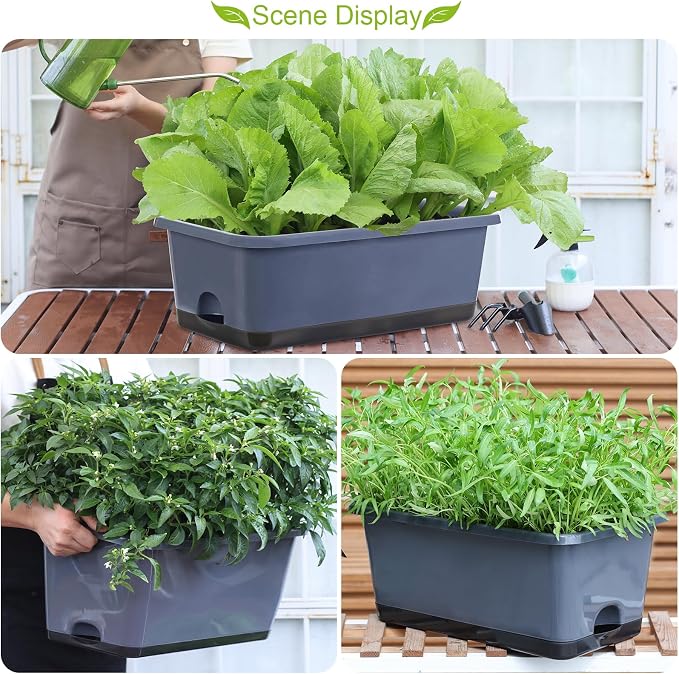 Oliz Window Box Planter 8 Pcs, 17 Inches Rectangle Flower Pots with Drainage Holes and Trays, Vegetable Planters for Windowsill Patio Garden Balcony Home Porch Yard Indoor Outdoor (Grey)