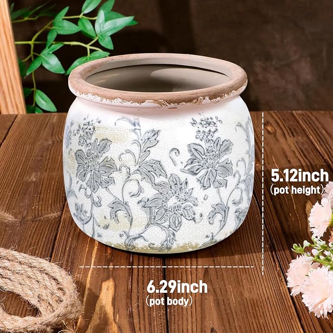 Dosayes Ceramic Pot for Planter, Vintage Flower Pot with Drainage Holes, 6.29 inch Ice Crack Glazed Indoor Planters Pot (Old World)