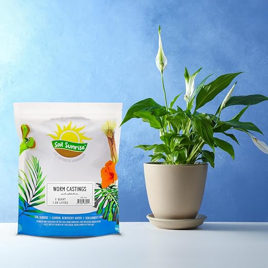 Soil Sunrise Premium Organic Worm Castings (2 Pounds) 2QT All Natural Soil Additive, Soil Builder, and Fertilizer