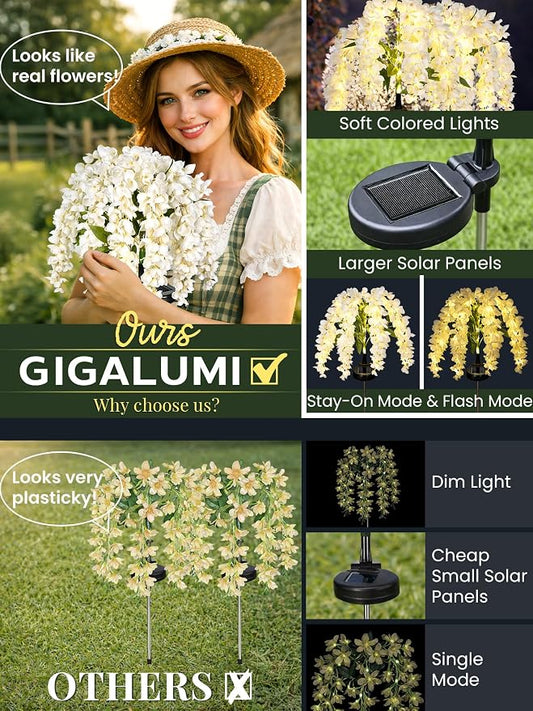 GIGALUMI Solar Lights Outdoor for Garden Decor, 3 Pack Solar Flower Lights Waterproof, 2 Lighting Modes Wisteria for Pathway,Yard, Patio Decoration, Gardening Gifts for Women (White)