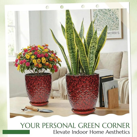 9.5 Inch Flower Pots for Indoor Plants,Ceramic Planter with Saucer Drainage Leak-Proof Mesh Gardening Gloves (Diamond Red)