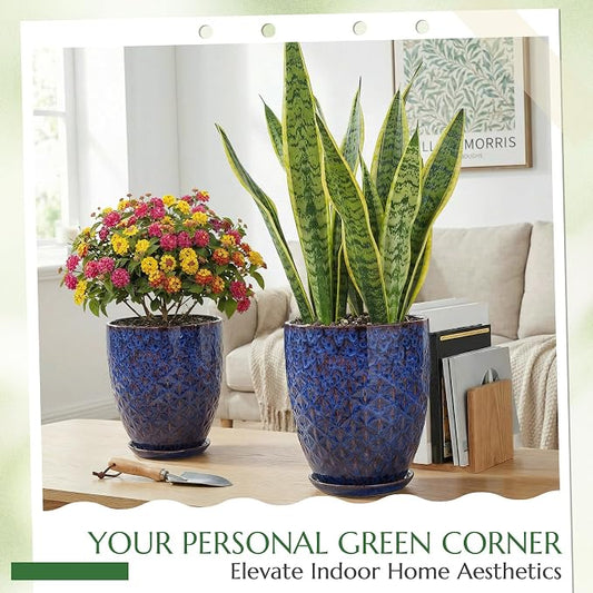 9.5 Inch Flower Pots for Indoor Plants,Ceramic Planter with Saucer Drainage Leak-Proof Mesh Gardening Gloves (Peacock-Blue)