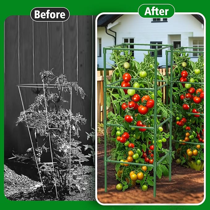 3 Pack Tomato Cages, 42 Inch Square Tomato Cage for Raised Garden Bed, Rust-Proof Sturdy Tall Tomato Trellis Supports for Climbing Plants Outdoor with Clips Wire