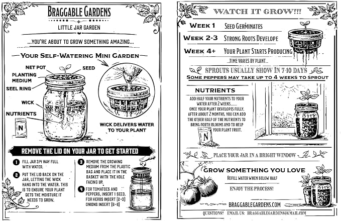 Red Robin Cherry Tomato Indoor Garden Kit – Mason Jar Hydroponic Tomato Grow Kit – Windowsill Countertop Tomato Planter – Grow Tomatoes Indoors
