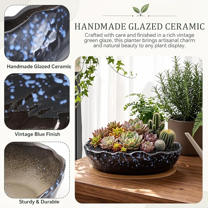 Succulent Pot 10 Inch Large Succulent Planters with Drainage Ceramic Bonsai Pot with Bamboo Tray Round Shallow Planter for Indoor Cactus Flower Planter Window Box for Home Garden Decor (Starry Blue)
