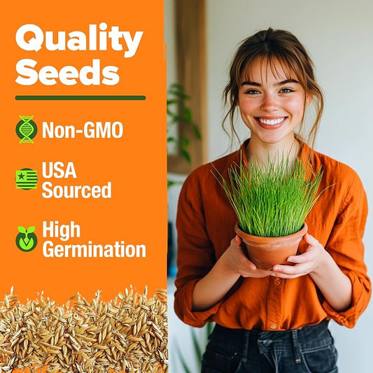 HOME GROWN Non GMO 1 Pound Cat Grass 12,700+ Seeds & Kittens Oat & Barley Mix 100% Heirloom, Grow Fresh Kitty for Chewing, Pet Indoor Garden