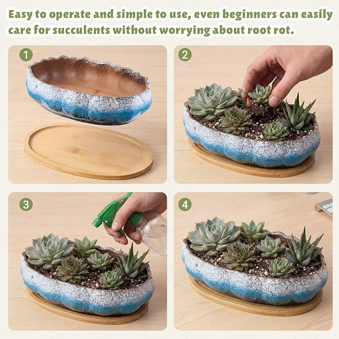Succulent Pot 12 Inch Large Succulent Planters Ceramic Glazed Bonsai Pot with Bamboo Tray Round Shallow Planter for Indoor Cactus Flower Planter Window Box for Home Garden Decor (Blue and White)