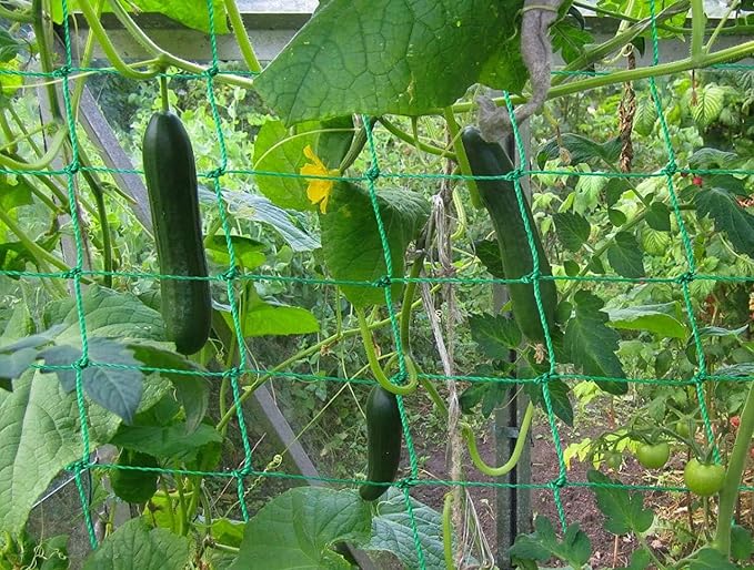Trellis Netting for Climbing Plants - Heavy Duty Garden Trellis Netting for Cucumber, Vine, Fruits & Vegetables Tomato Plants Trellis Net, Climbing Vining Plants (2-Pack 32.8' x 6.6'Ft)