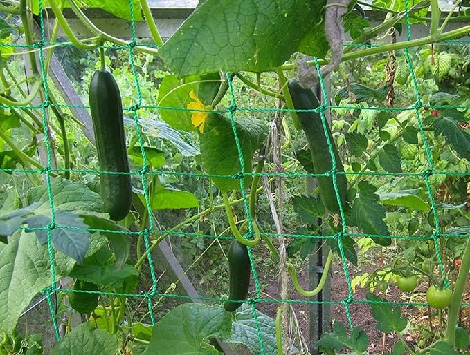 Trellis Netting for Climbing Plants - Heavy Duty Garden Trellis Netting for Cucumber, Vine, Fruits & Vegetables Tomato Plants Trellis Net, Climbing Vining Plants (2-Pack 8.2' x 6.6'Ft)