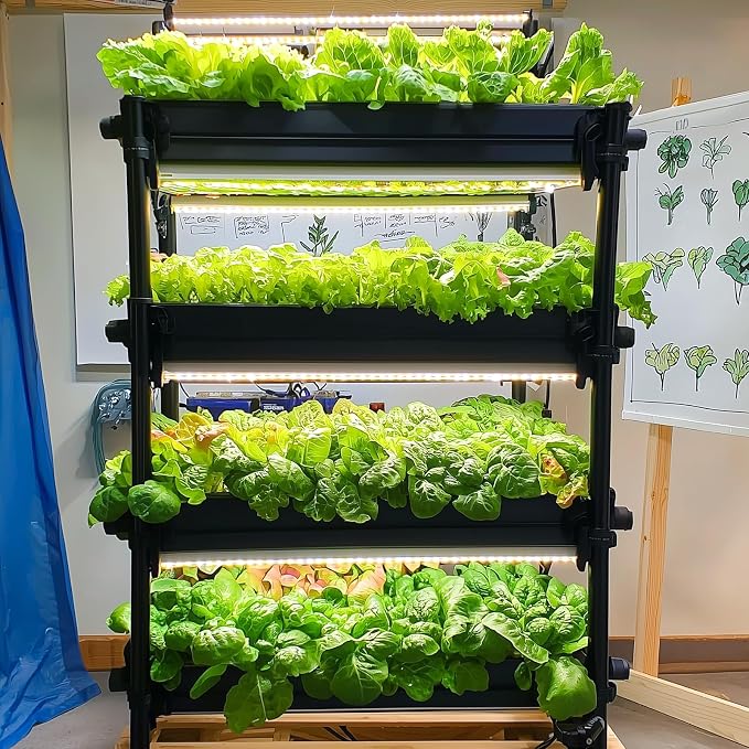 20,000+ Lettuce Seeds, Heirloom Vegetable Seed for Planting Indoor Outdoor, 10 Varieties of Fresh Salad Greens for Hydroponics Kit, Easy to Grow for Garden Beginners, Non-GMO