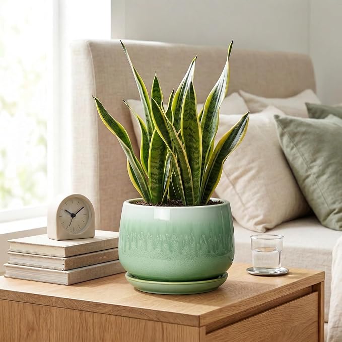 Ceramic Pots for Plants - 7 Inch Planters for Indoor Plants, Round Ceramic Plant Pot with Drainage Hole and Saucer, Decorative Planters, Rustic Home Decor, Plant Gifts for Women, Green