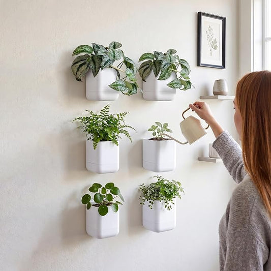 Phoenix Vine 3.5 Inch Wall Mounted Self-Watering Planter Pot for Indoor Houseplants and Herbs | Hanging Planter for Window Sills, Bathroom Walls, Home & Office Décor, White, Set of 6, 01-A-D-6