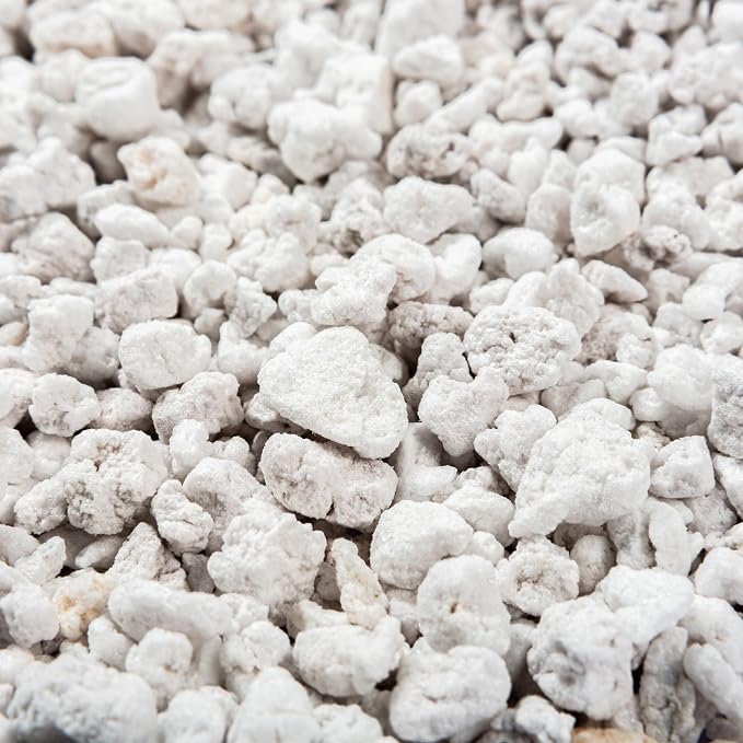 Perlite Bliss (24 Qts) - Organic Perlite for Plants Indoor Soil Amendment - Bulk Perlite for Gardening & Seed Starting - Mixes Easily with Potting Soil, Vermiculite, & Organic Coco Coir for Plants