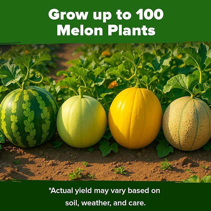 HOME GROWN Melon Seeds 5 Variety Mix 115+ Heirloom Non-GMO, High Germination, Watermelon Sugar Baby, Cantaloupe, Honeydew, Sweet & Juicy Summer Fruit, Indoor Outdoor Garden (Cucumis melo/Citrullus)
